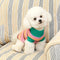 Colour Blocked Striped Dog Sweater For Small Dogs