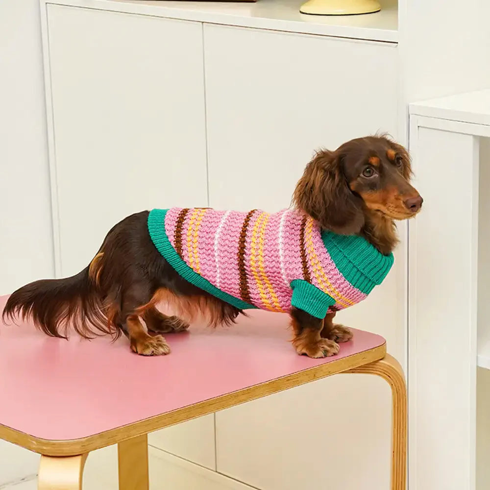 Colour Blocked Striped Dog Sweater For Small Dogs