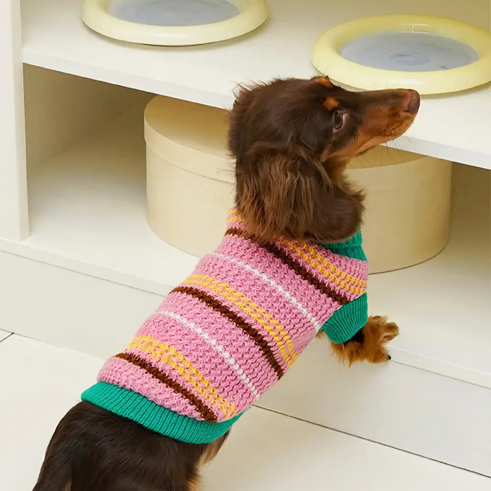 Colour Blocked Striped Dog Sweater For Small Dogs
