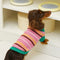 Colour Blocked Striped Dog Sweater For Small Dogs