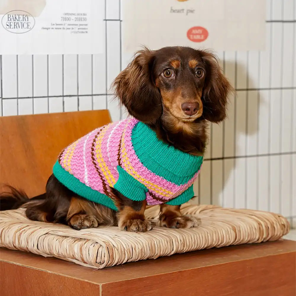 Colour Blocked Striped Dog Sweater For Small Dogs