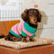 Colour Blocked Striped Dog Sweater For Small Dogs