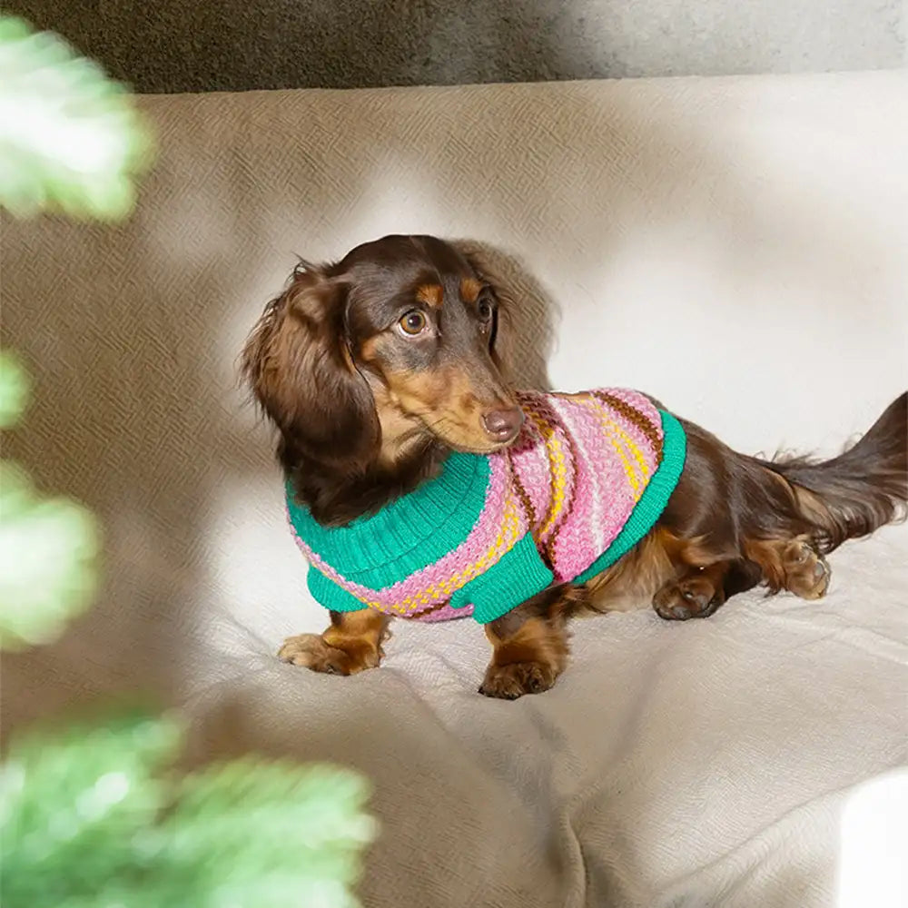 Colour Blocked Striped Dog Sweater For Small Dogs