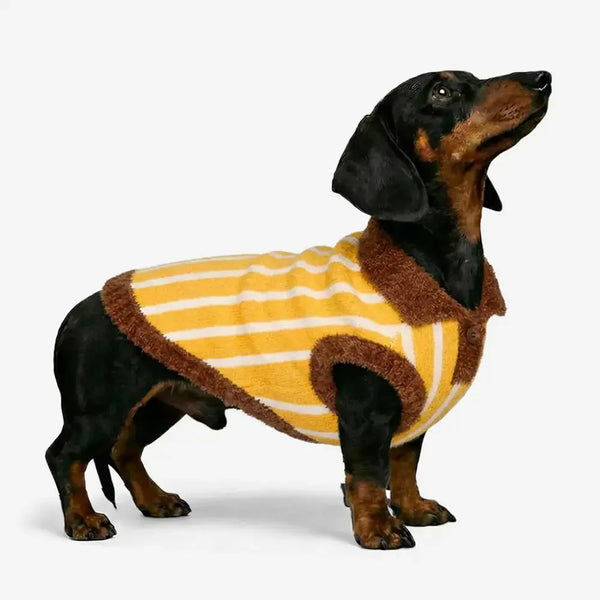 Colour Blocked Striped Polo Collar Dog Sweater For Small Dogs