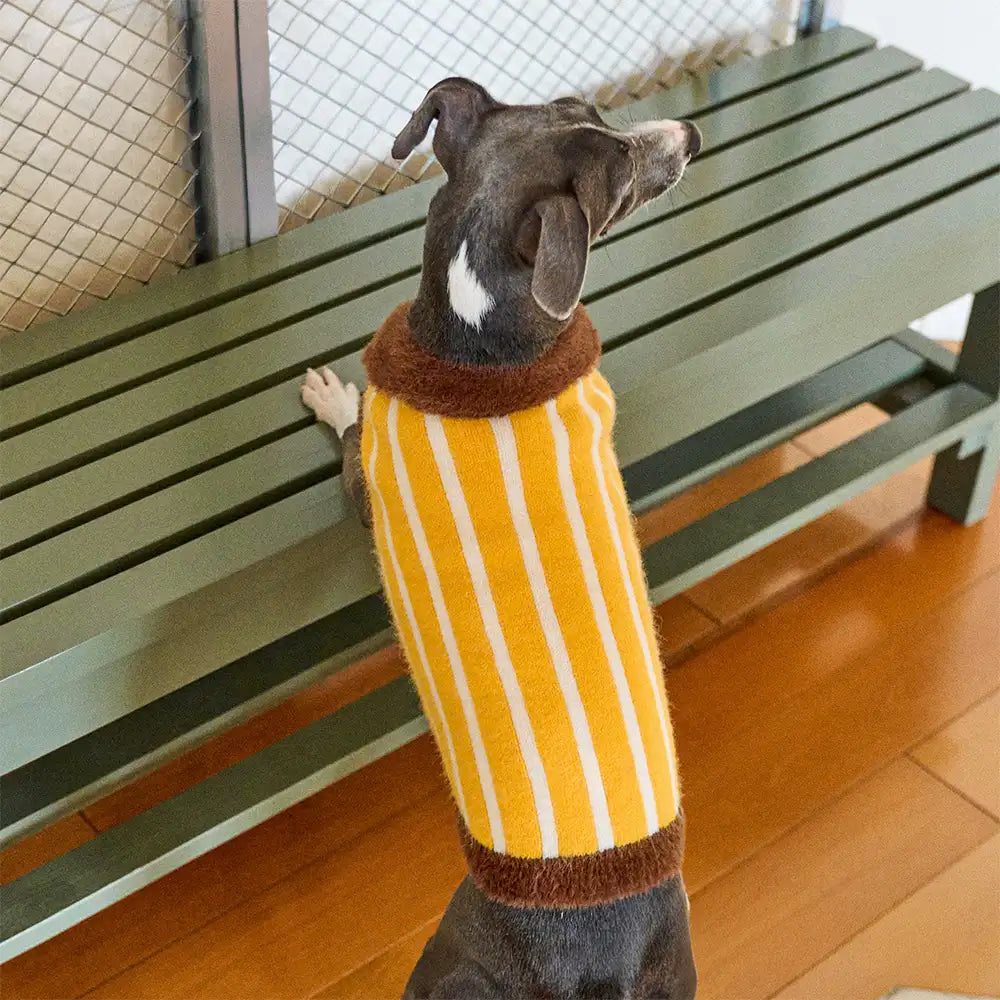 Colour Blocked Striped Polo Collar Dog Sweater For Small Dogs