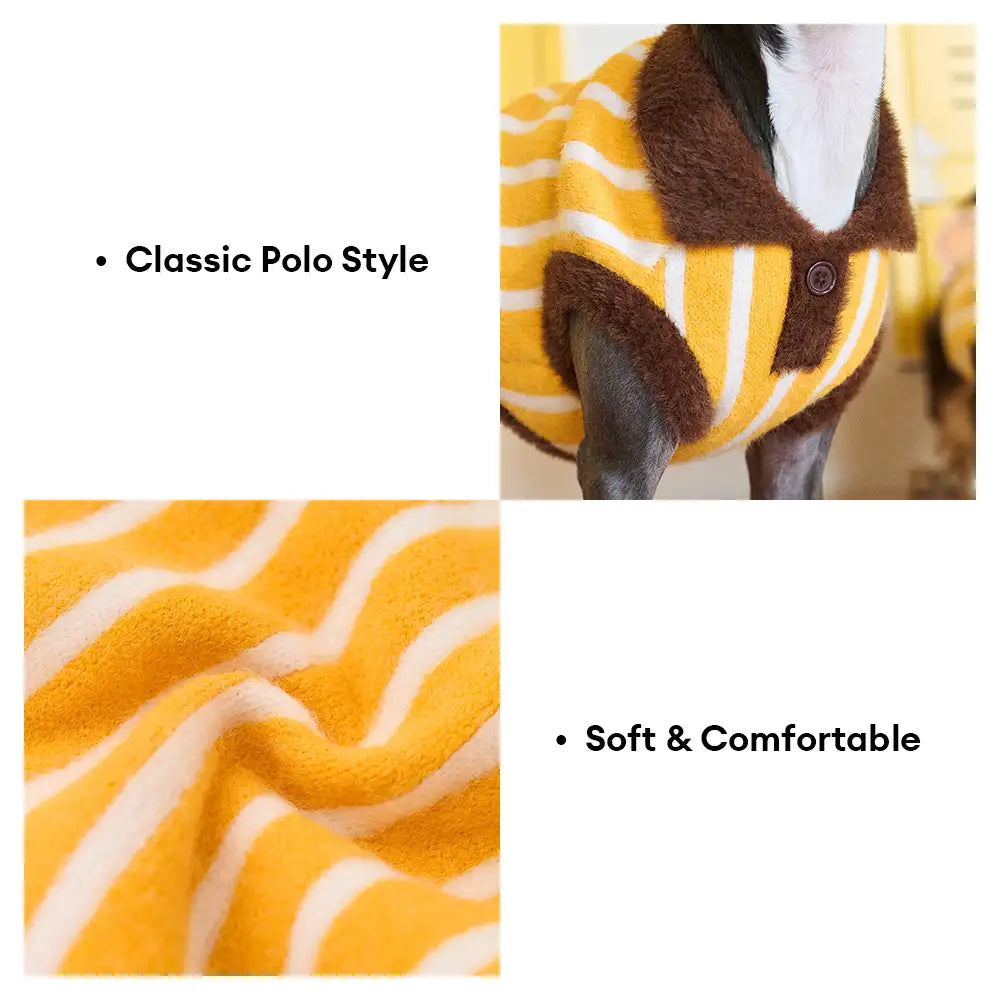 Colour Blocked Striped Polo Collar Dog Sweater For Small Dogs
