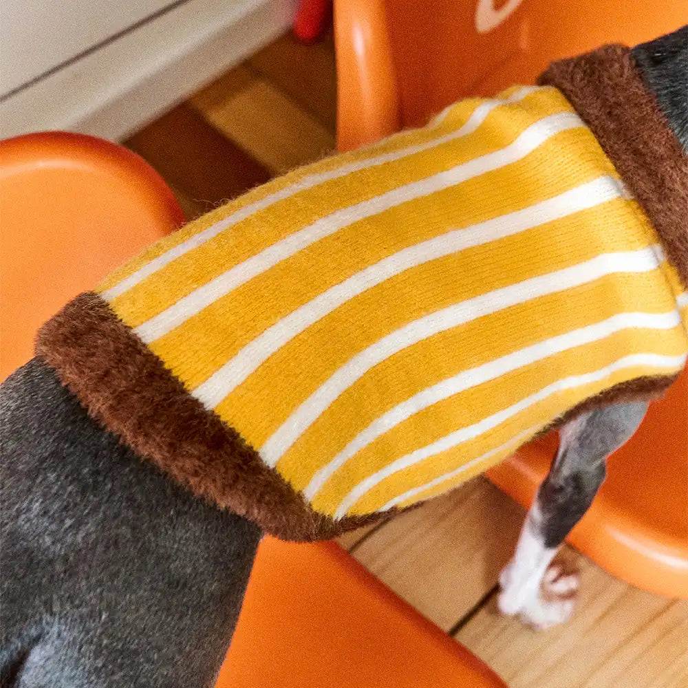 Colour Blocked Striped Polo Collar Dog Sweater For Small Dogs