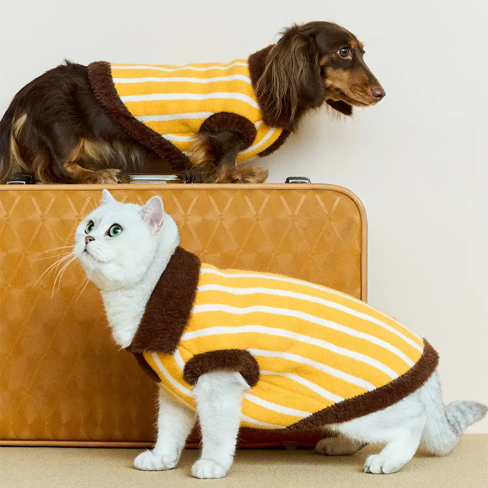 Colour Blocked Striped Polo Collar Dog Sweater For Small Dogs