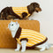 Colour Blocked Striped Polo Collar Dog Sweater For Small Dogs