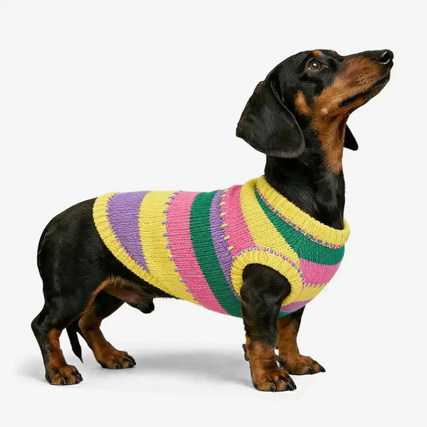 Colour Blocked Striped Sleeveless Dog Sweater For Small Dogs