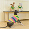 Colour Blocked Striped Sleeveless Dog Sweater For Small Dogs