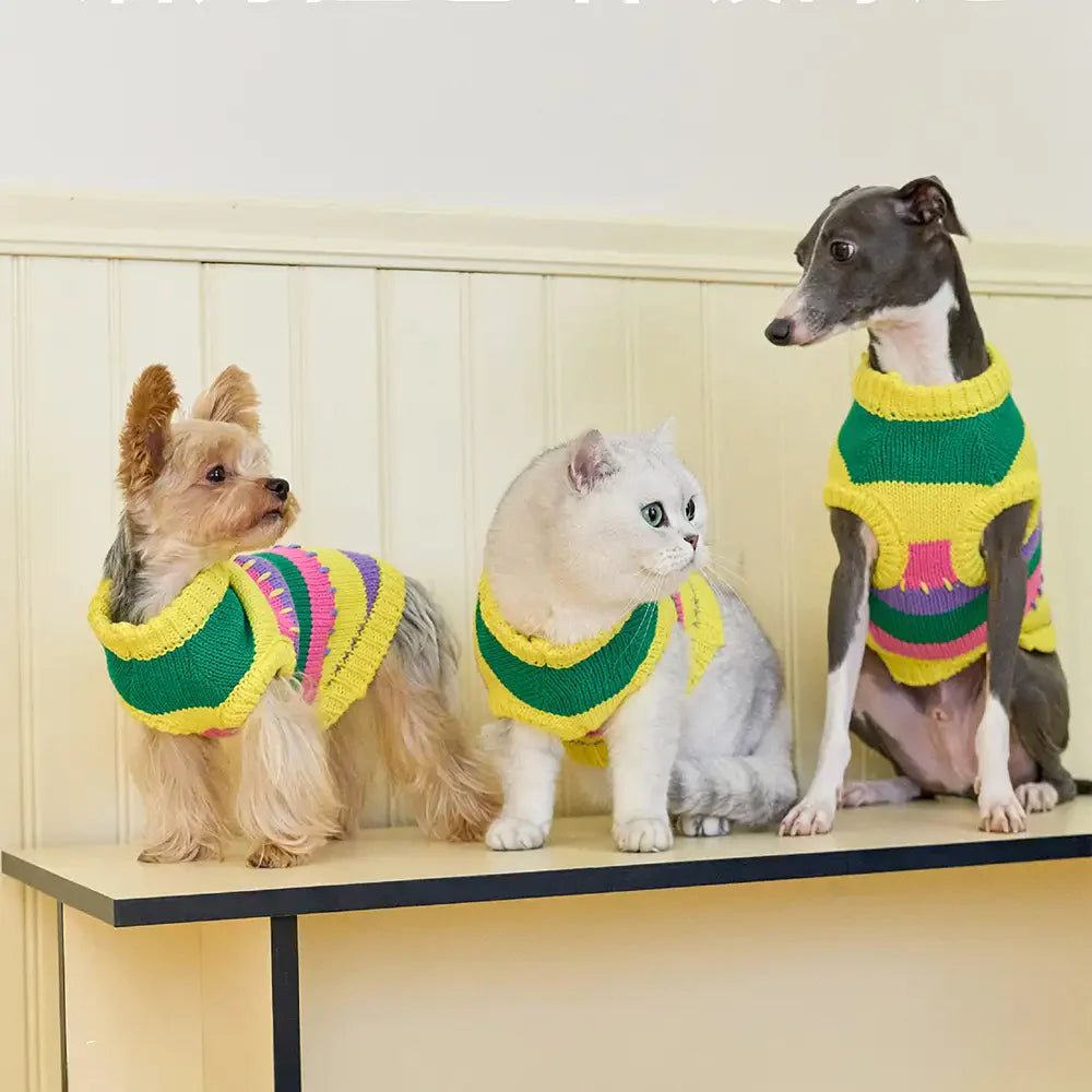 Colour Blocked Striped Sleeveless Dog Sweater For Small Dogs