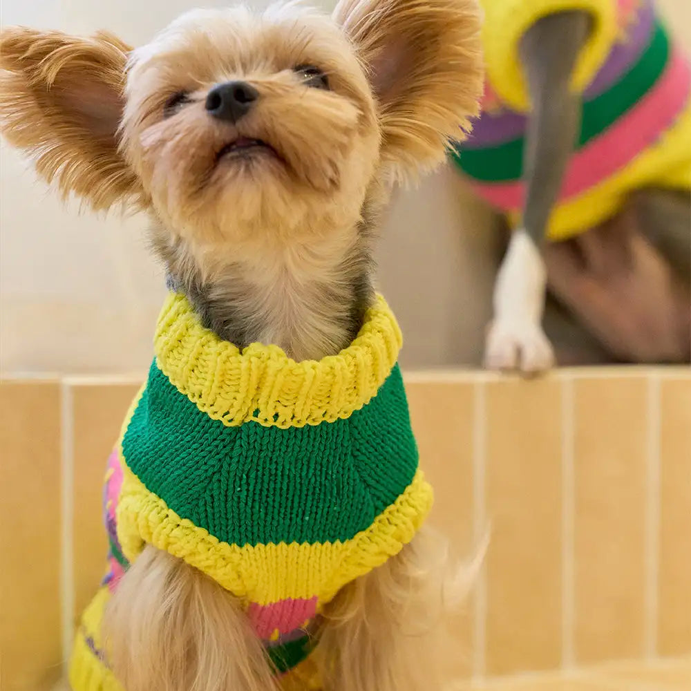 Colour Blocked Striped Sleeveless Dog Sweater For Small Dogs