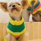Colour Blocked Striped Sleeveless Dog Sweater For Small Dogs