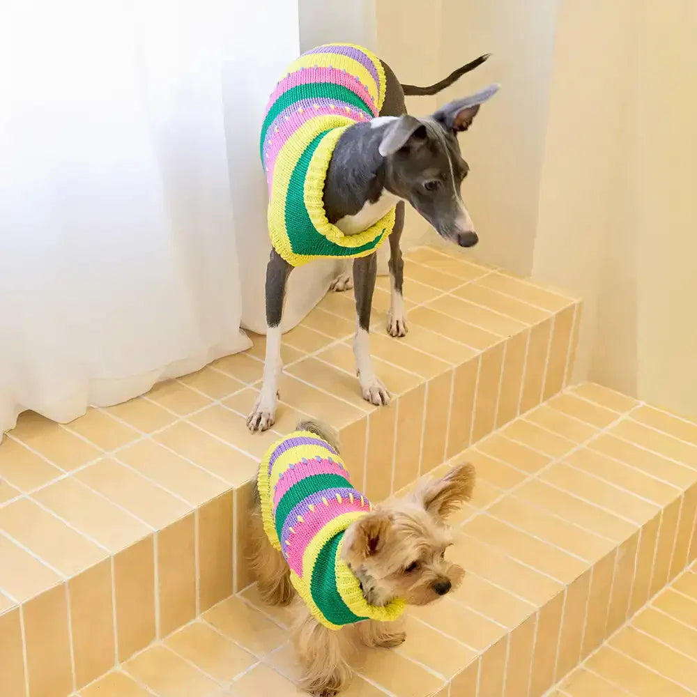 Colour Blocked Striped Sleeveless Dog Sweater For Small Dogs