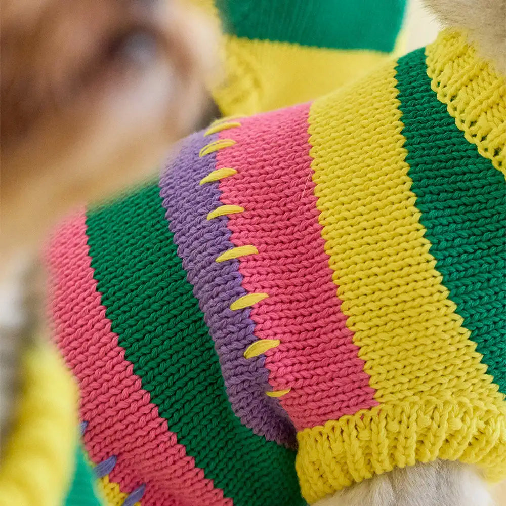 Colour Blocked Striped Sleeveless Dog Sweater For Small Dogs