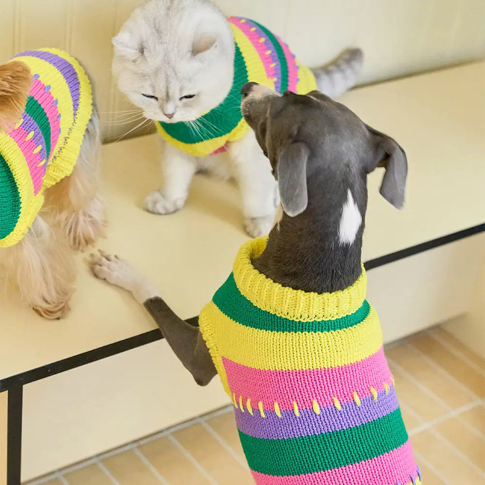 Colour Blocked Striped Sleeveless Dog Sweater For Small Dogs
