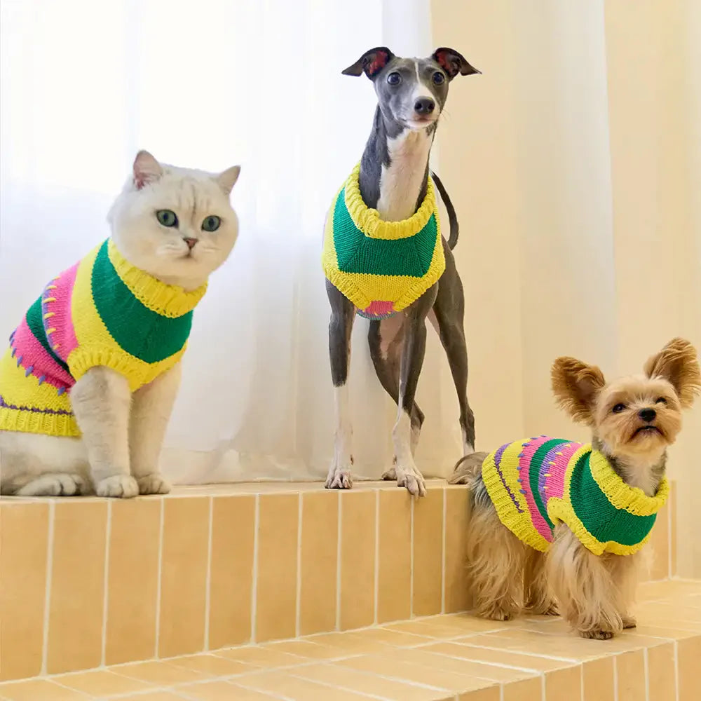 Colour Blocked Striped Sleeveless Dog Sweater For Small Dogs