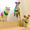 Colour Blocked Striped Sleeveless Dog Sweater For Small Dogs