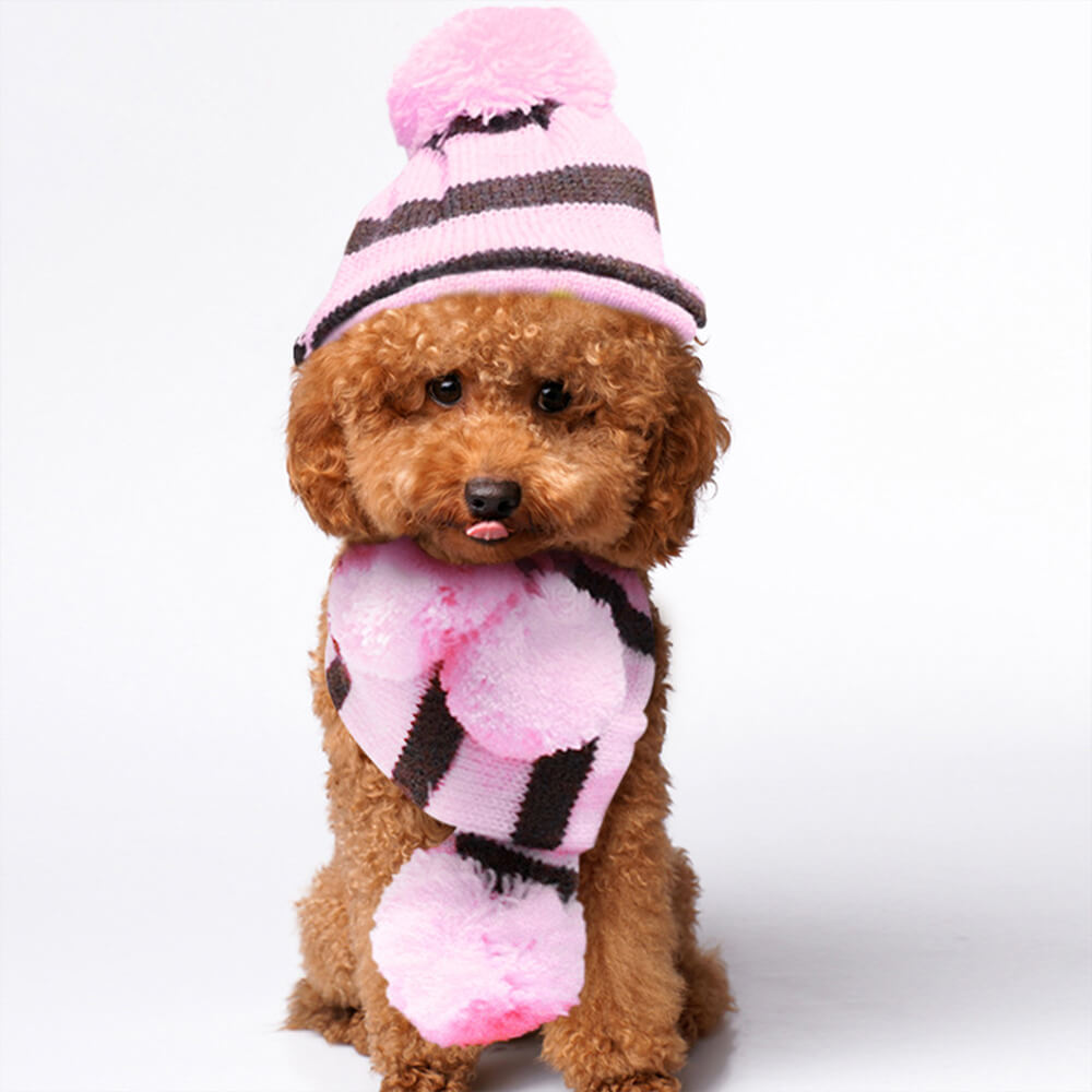 Colorful Striped Knit Pom Pom Cozy Dog Hat Scarf & Socks Set