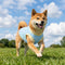 Cooling Ice Silk Sunscreen Dog Vest