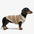 Diamond Striped Dog Sweater For Small Dogs