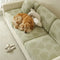 Elastic Chenille All-Season Anti-Scratch Full-Coverage Couch Cover