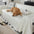 Faux Leather Waterproof Pet Hair-Resistant Sofa Protector Sofa Cover