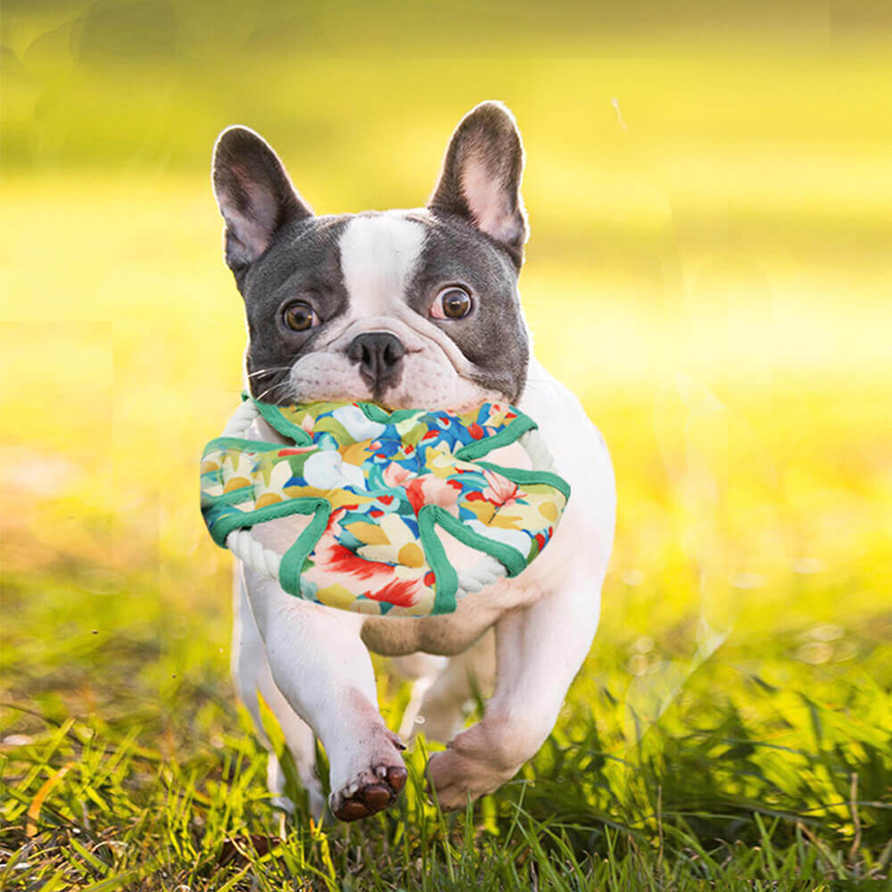 Jouet grinçant résistant à la mastication de chien de toile d'impression florale