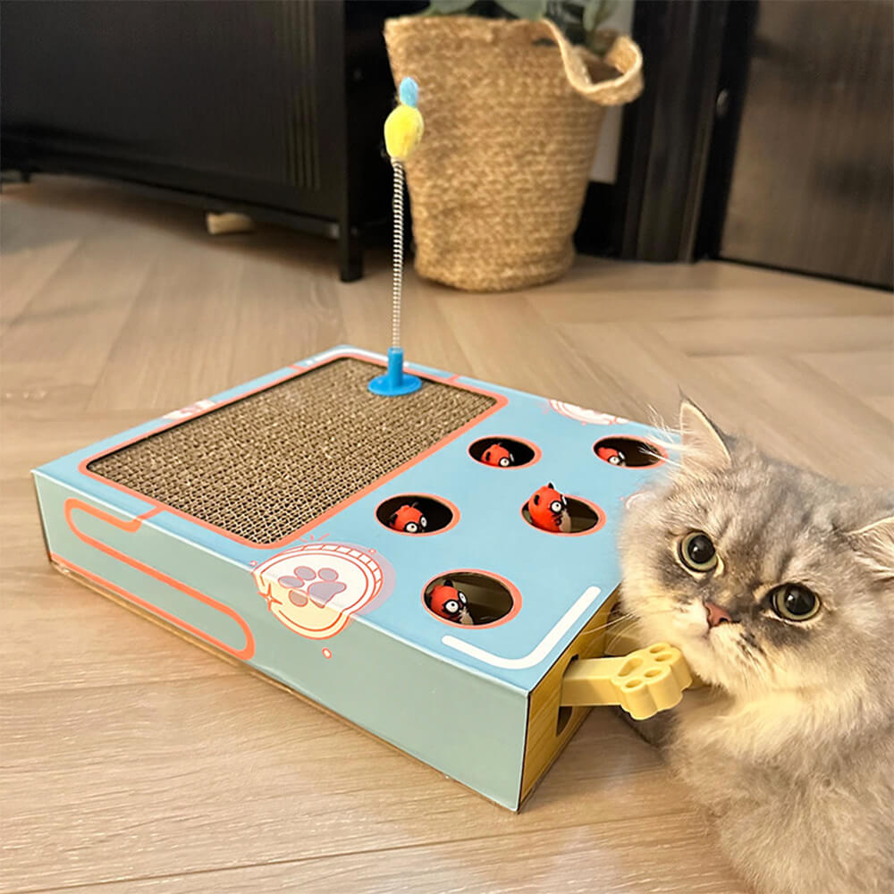 Fun Interactive Whack-a-Mole Cat Scratcher Cat Toy