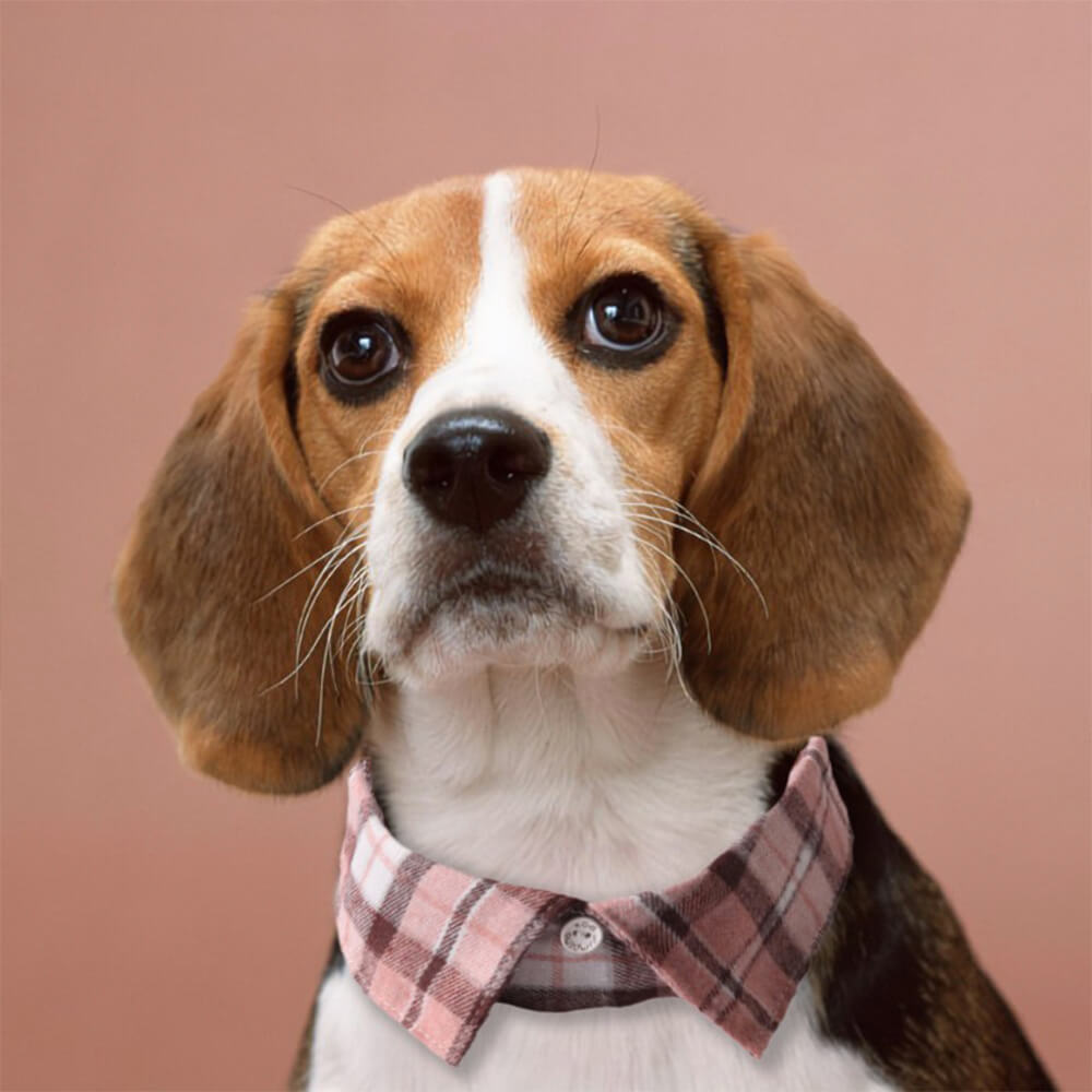 Collier pour chien réglable fait à la main à carreaux pour gentleman