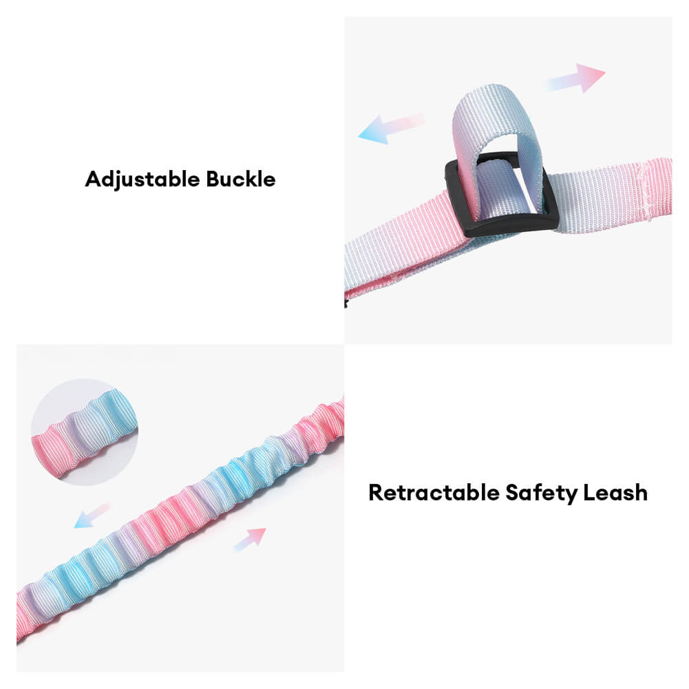 Gradient Elastic Shock-Absorbing Pet Car Safety Belt