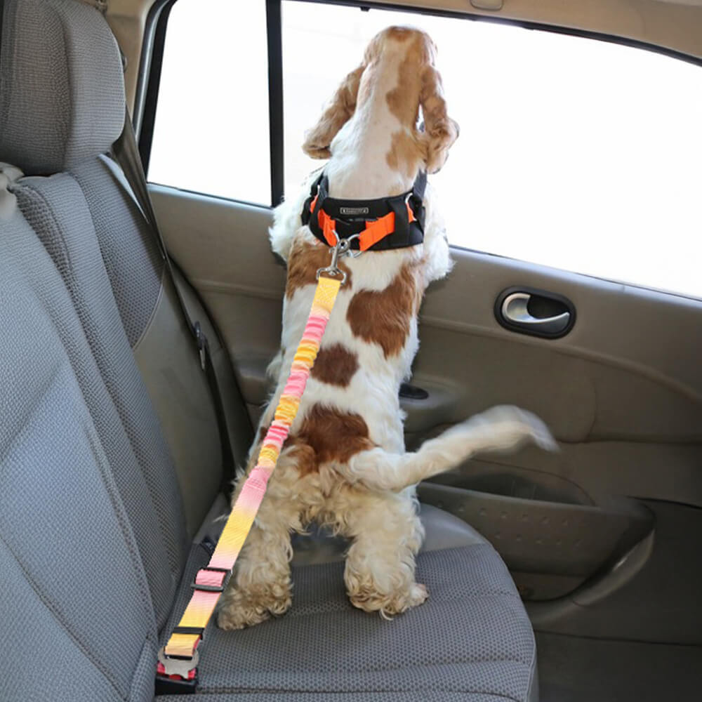 Gradient Elastic Shock-Absorbing Pet Car Safety Belt