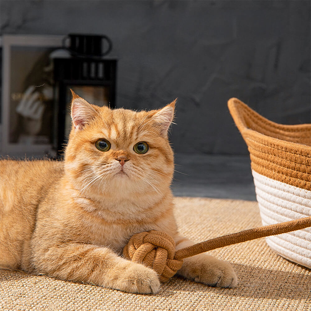 Handmade Cozy Multi-Use Durable Woven Cat Nest Bed