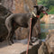 Heavy-Duty Hand-Woven Nylon Dog Leash for Medium and Large Dogs