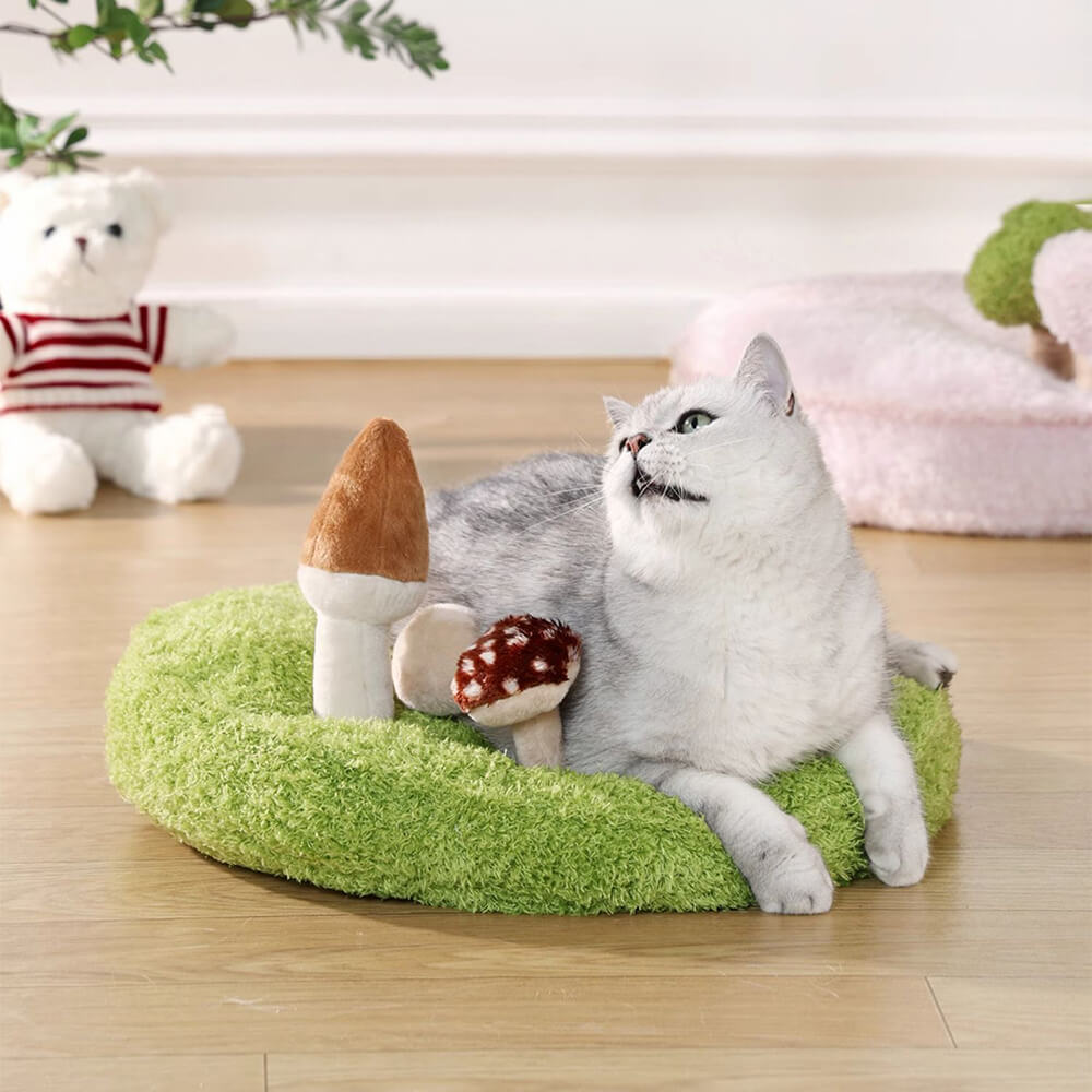 Jungle Explorer 2 in 1 Funny Plush Pet Bed - Nature Park