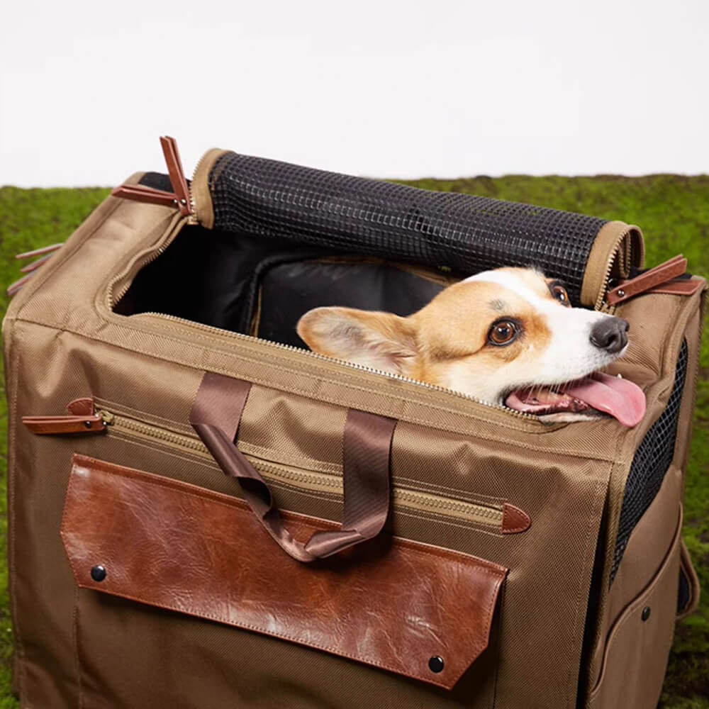 Sac à dos de transport pour animaux de compagnie, grand espace, maille respirante, imperméable, voyage