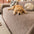 Linework Pattern Chenille Comfortable Scratch-Resistant Sofa Protection Sofa Cover