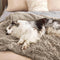 Luxurious Waterproof Plush Warm Multi-Purpose Home Dog Blanket