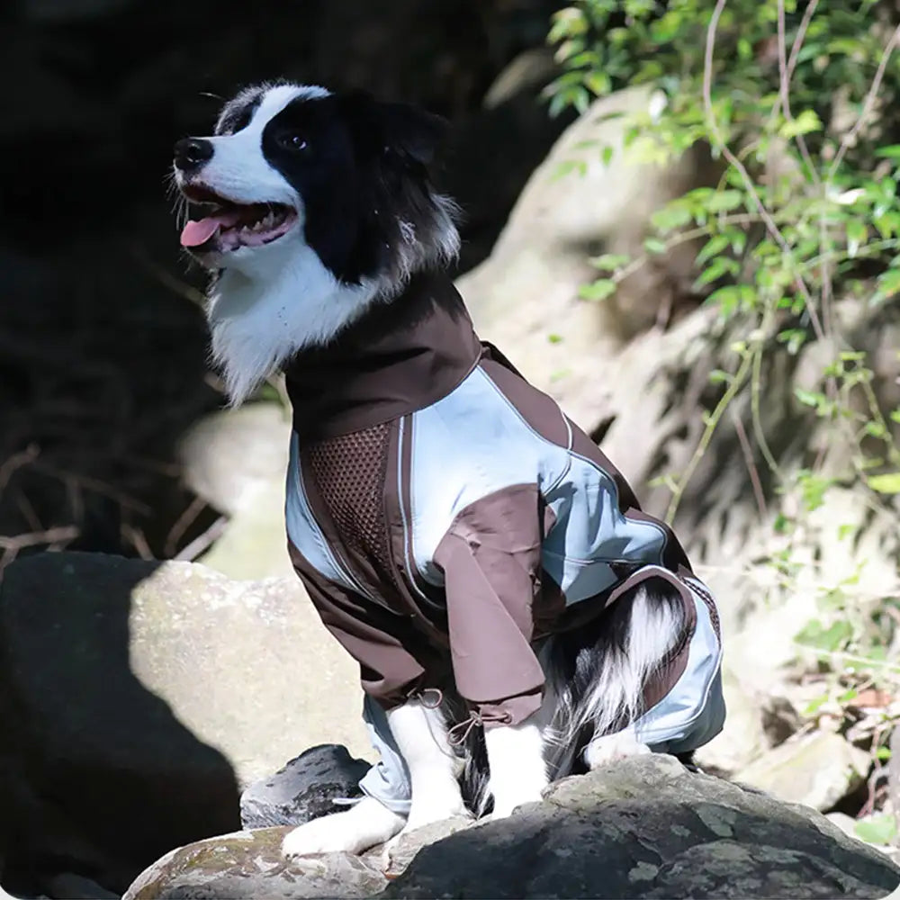 Multi-Functional Waterproof Windproof Dog Windbreaker Coat for Medium & Large Dogs