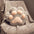 Multifunctional Cat Paw Pillow & Soft Short Plush Blanket Set