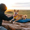 Outdoor Campsite Moisture-Proof And Waterproof Portable Dog Bed