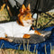 Outdoor Campsite Moisture-Proof And Waterproof Portable Dog Bed