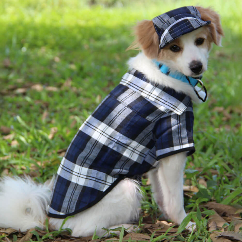 Plaid Oxford Sun Protection Adjustable Dog Hat & Coat Set