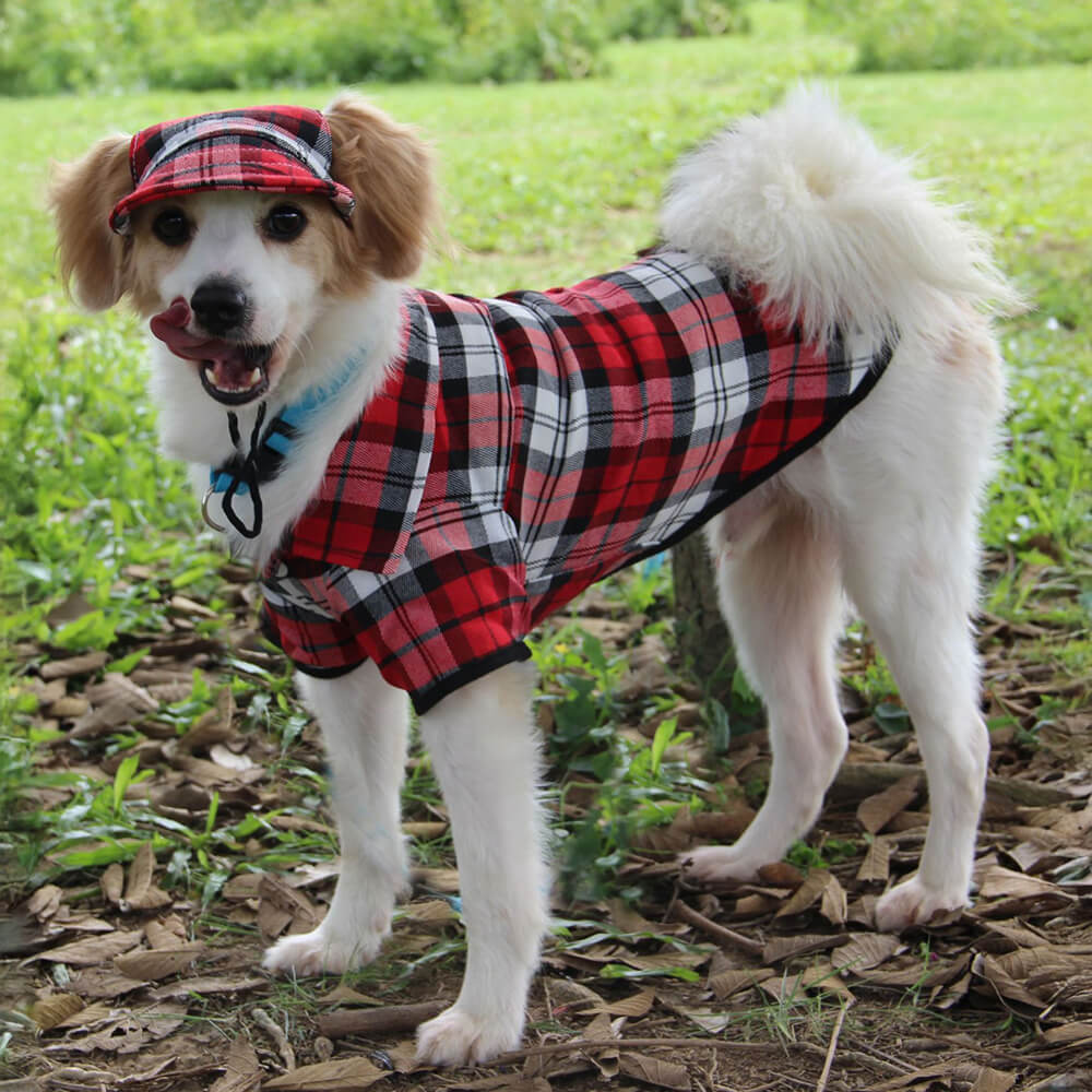 Plaid Oxford Sun Protection Adjustable Dog Hat & Coat Set