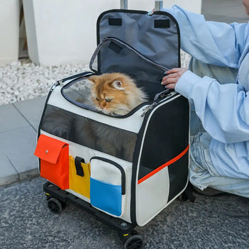 Portable Rolling Pet Backpack Carrier with Detachable Trolley