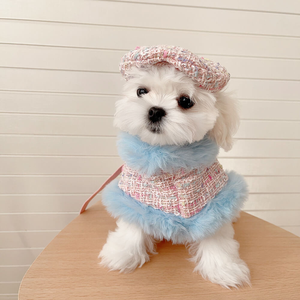 Ensemble d'accessoires de laisse de cape de béret de chien et de chat de style princesse