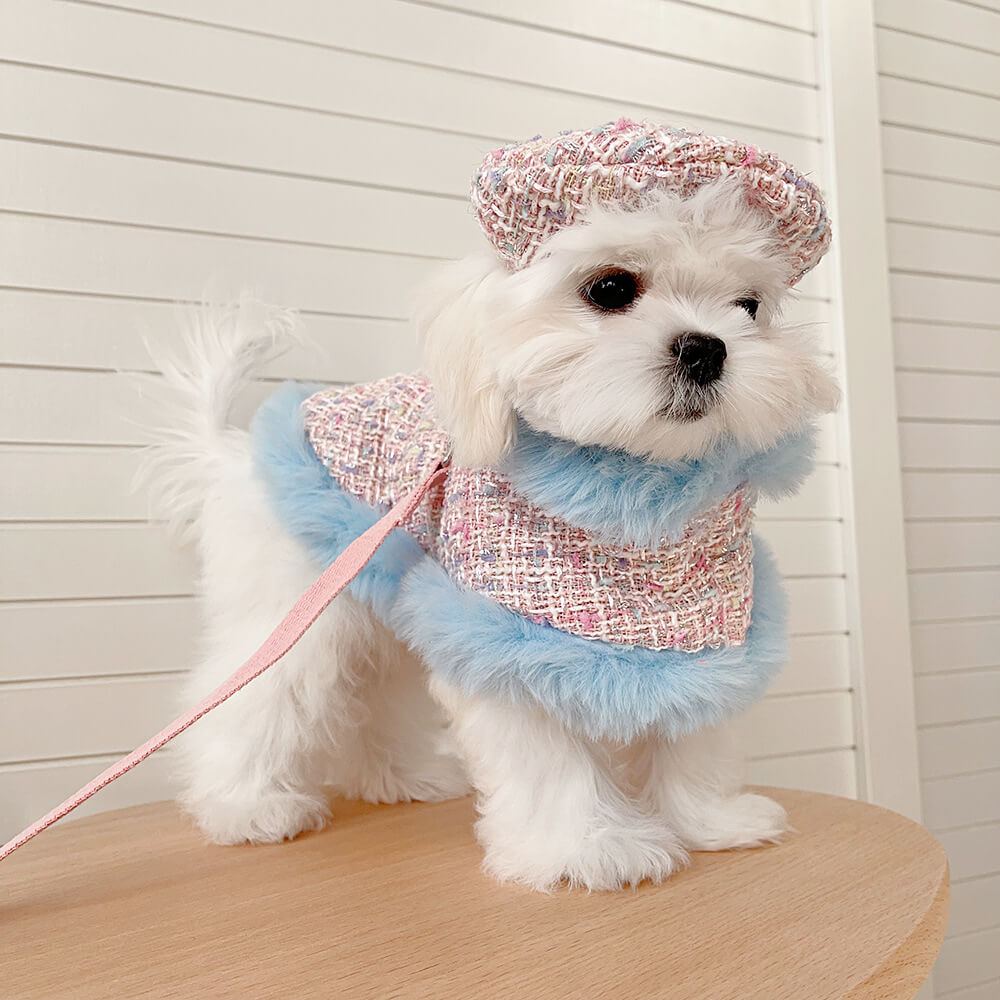 Ensemble d'accessoires de laisse de cape de béret de chien et de chat de style princesse