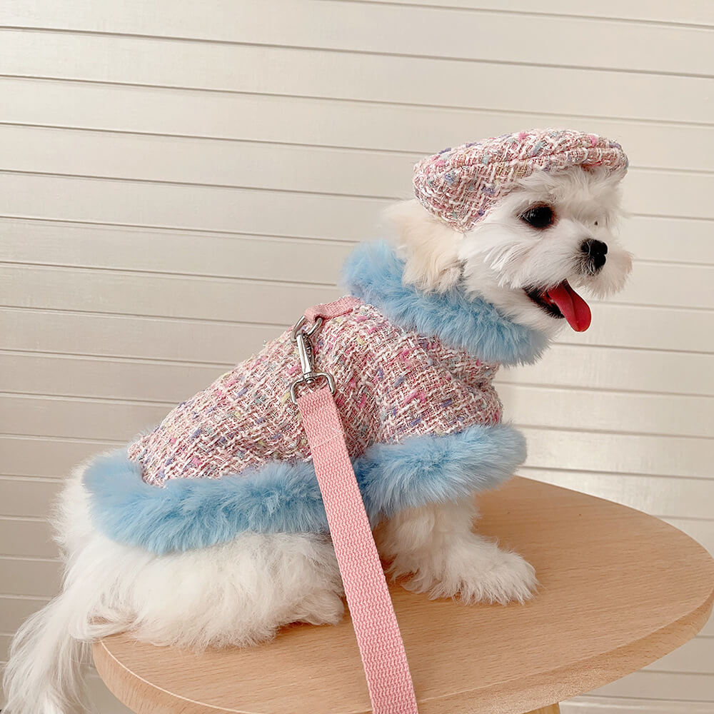 Ensemble d'accessoires de laisse de cape de béret de chien et de chat de style princesse