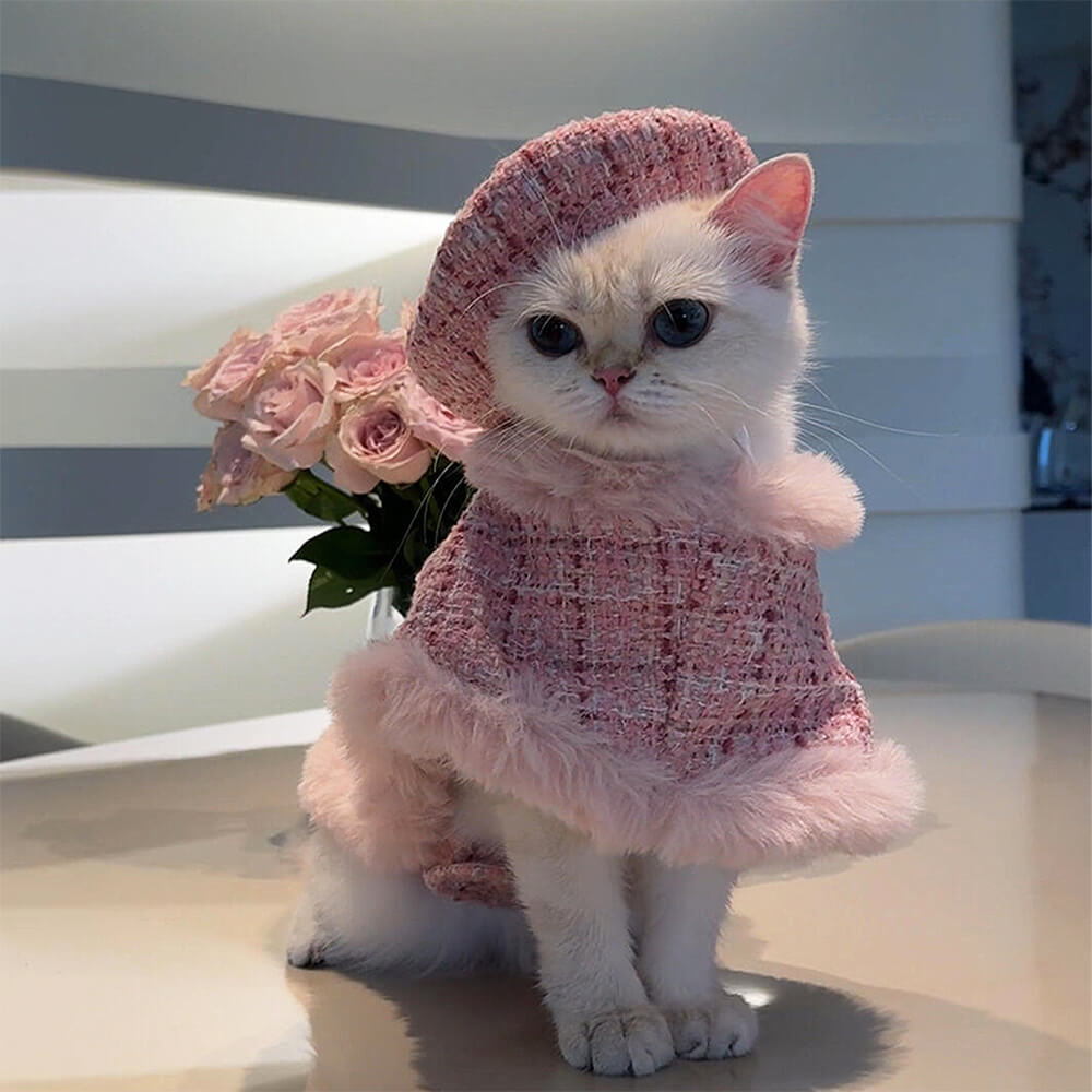 Ensemble d'accessoires de laisse de cape de béret de chien et de chat de style princesse